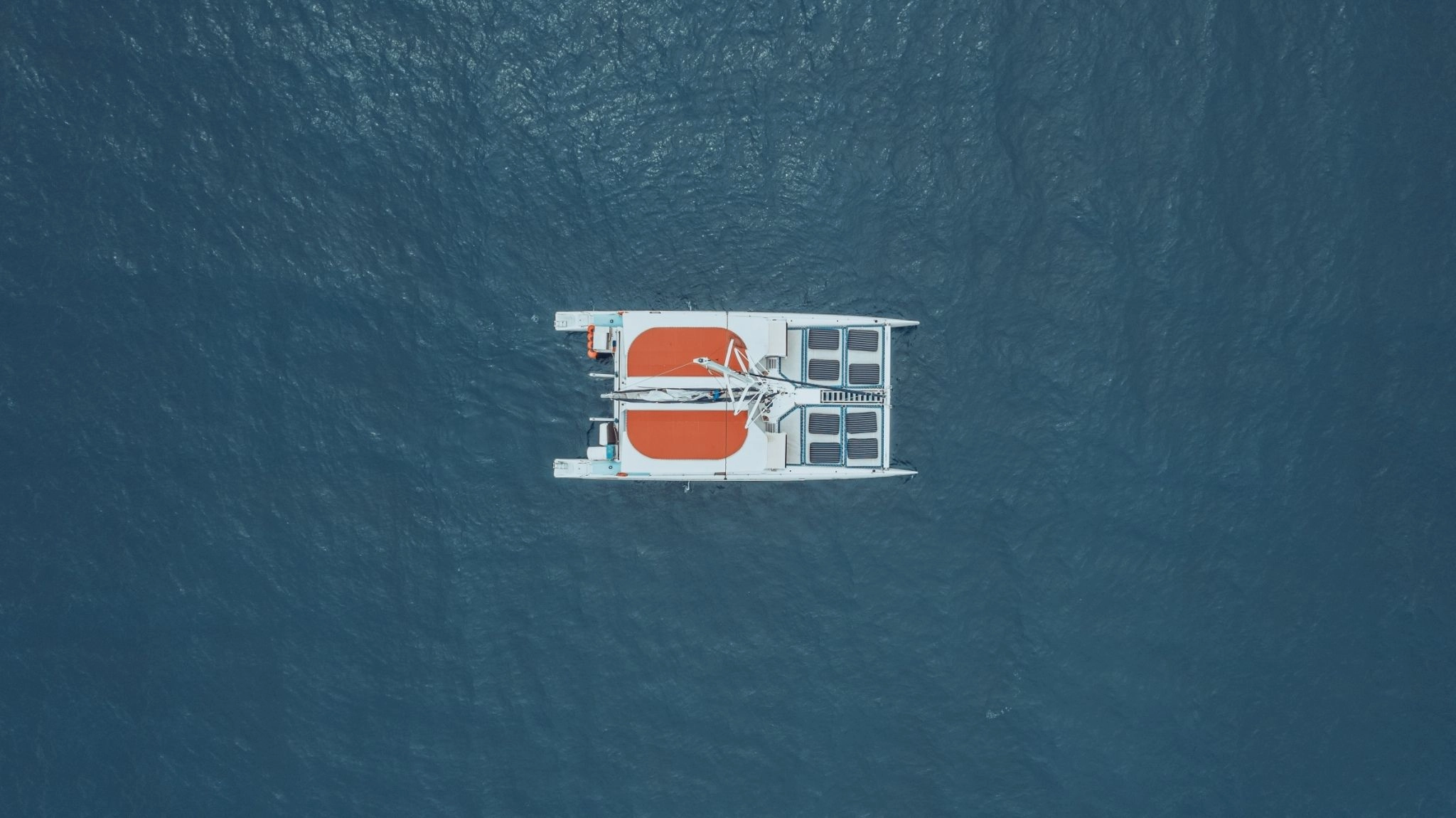 Blue Aqua (Party Boat  ) - Image 10