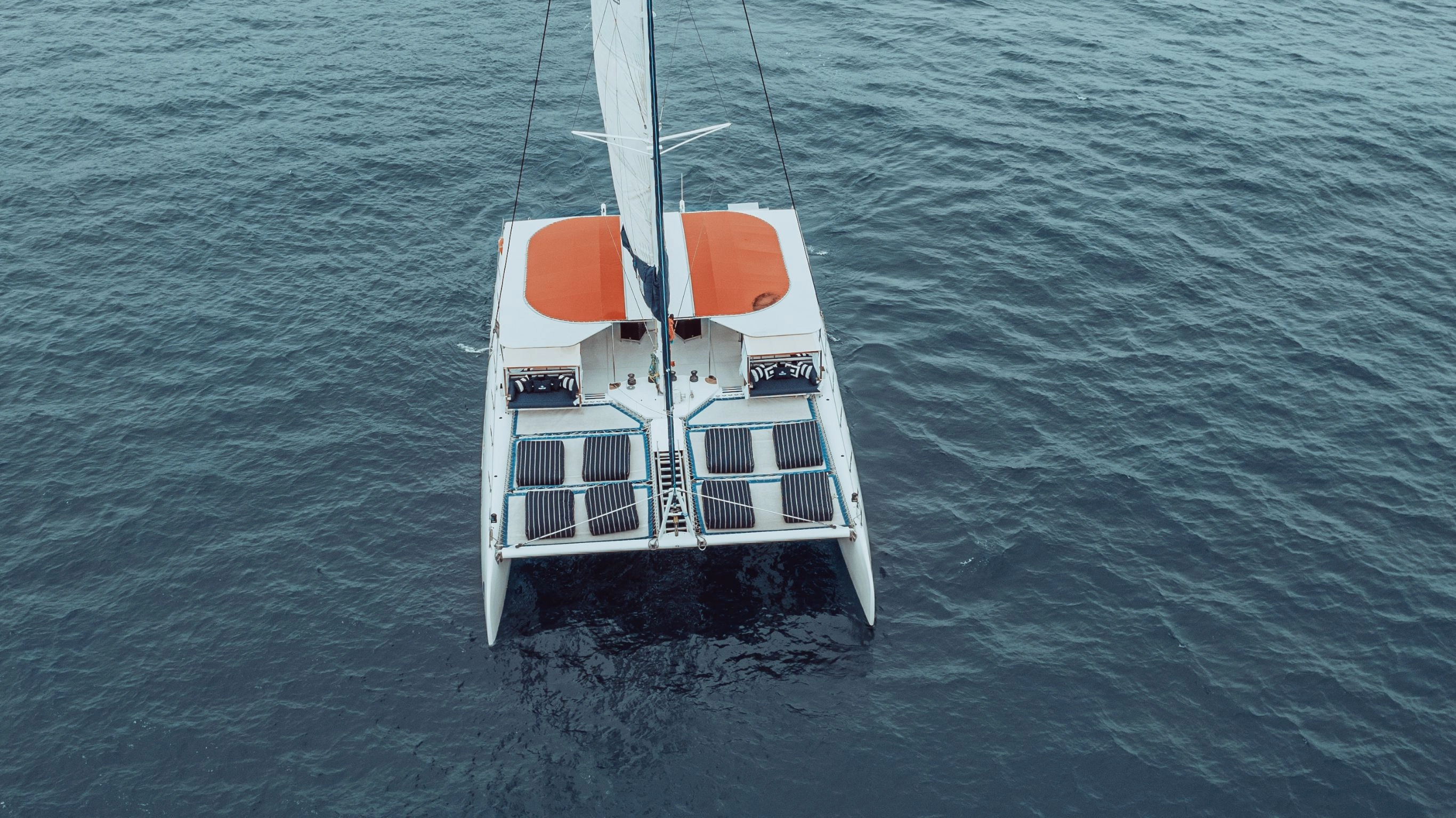 Blue Aqua (Party Boat  ) - Image 17